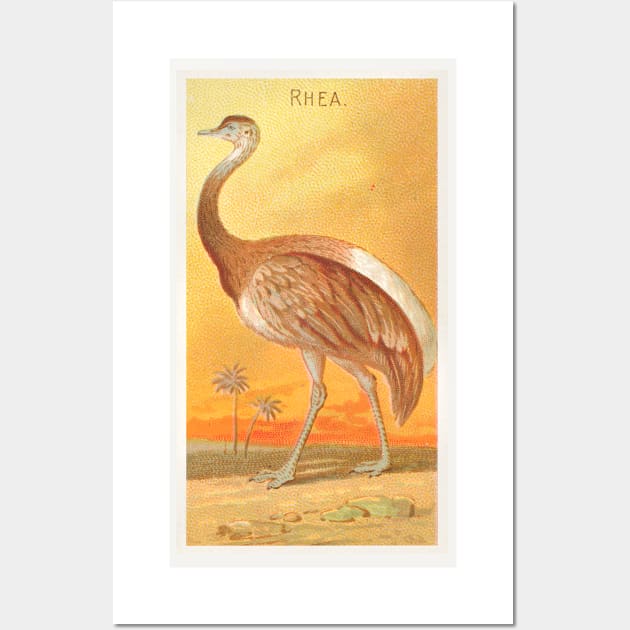 Rhea Wall Art by WAITE-SMITH VINTAGE ART